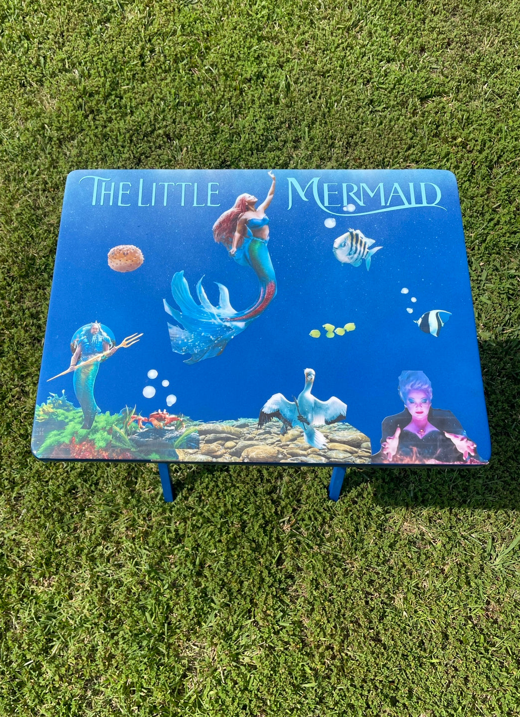 Custom Mermaid Tv Table Tray