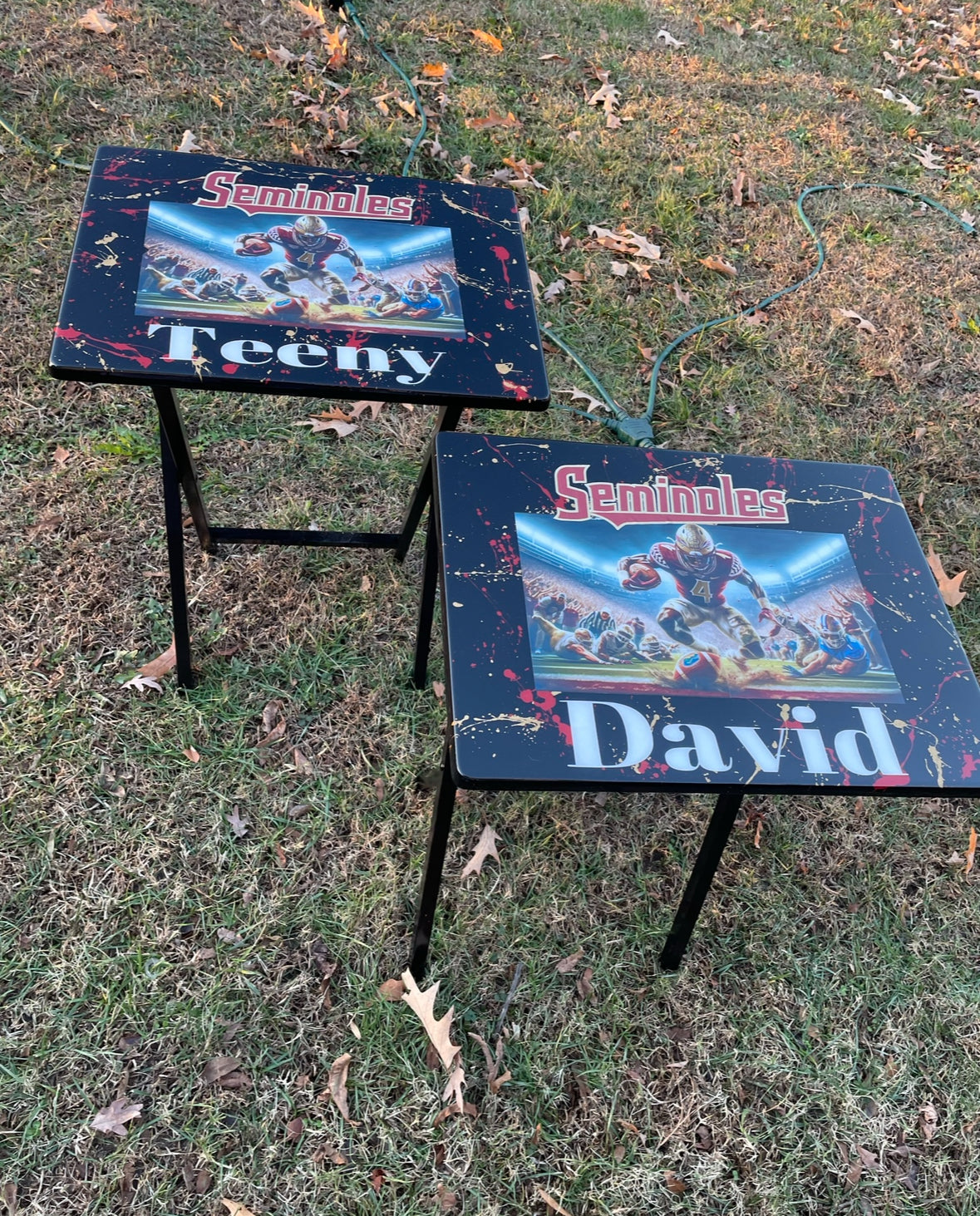 Custom TV Table Trays